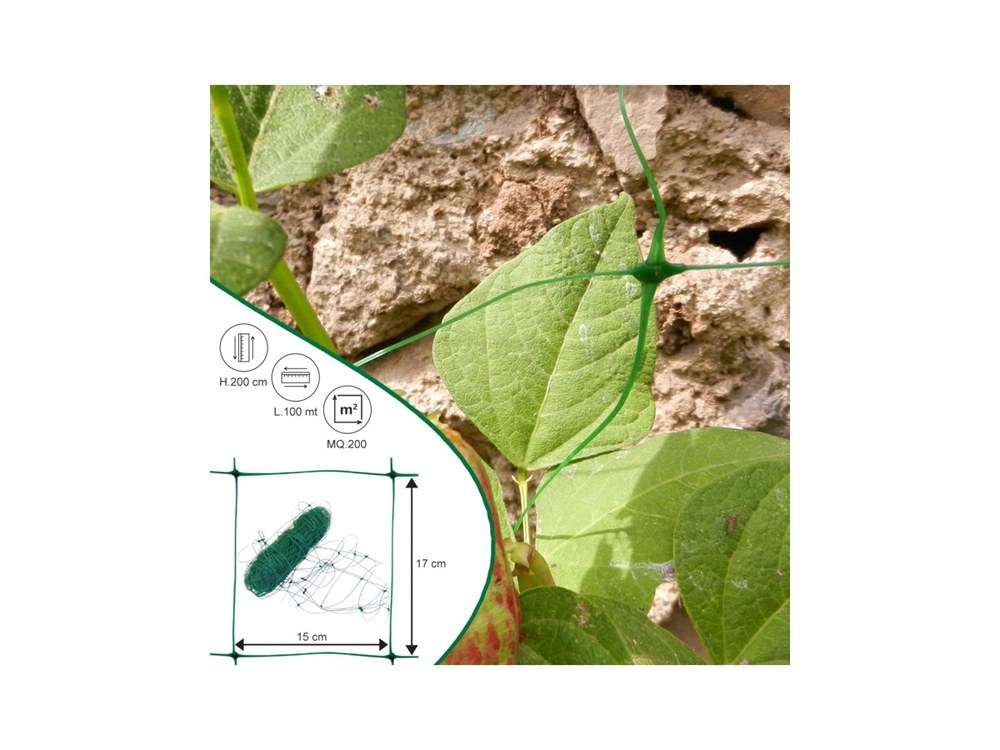 Rete per ortaggi rampicanti Rotolo 2x100 mt Verde